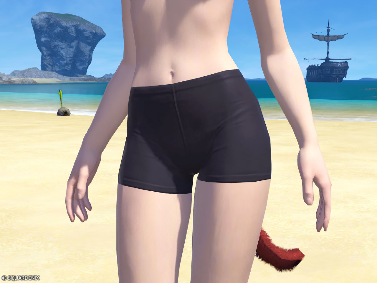 Black Lady's Knickers