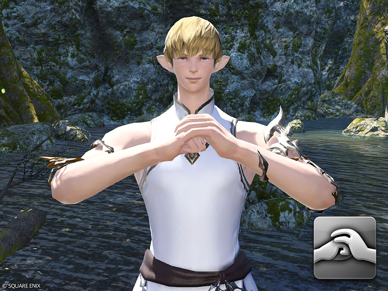 Emote: Eastern Greeting