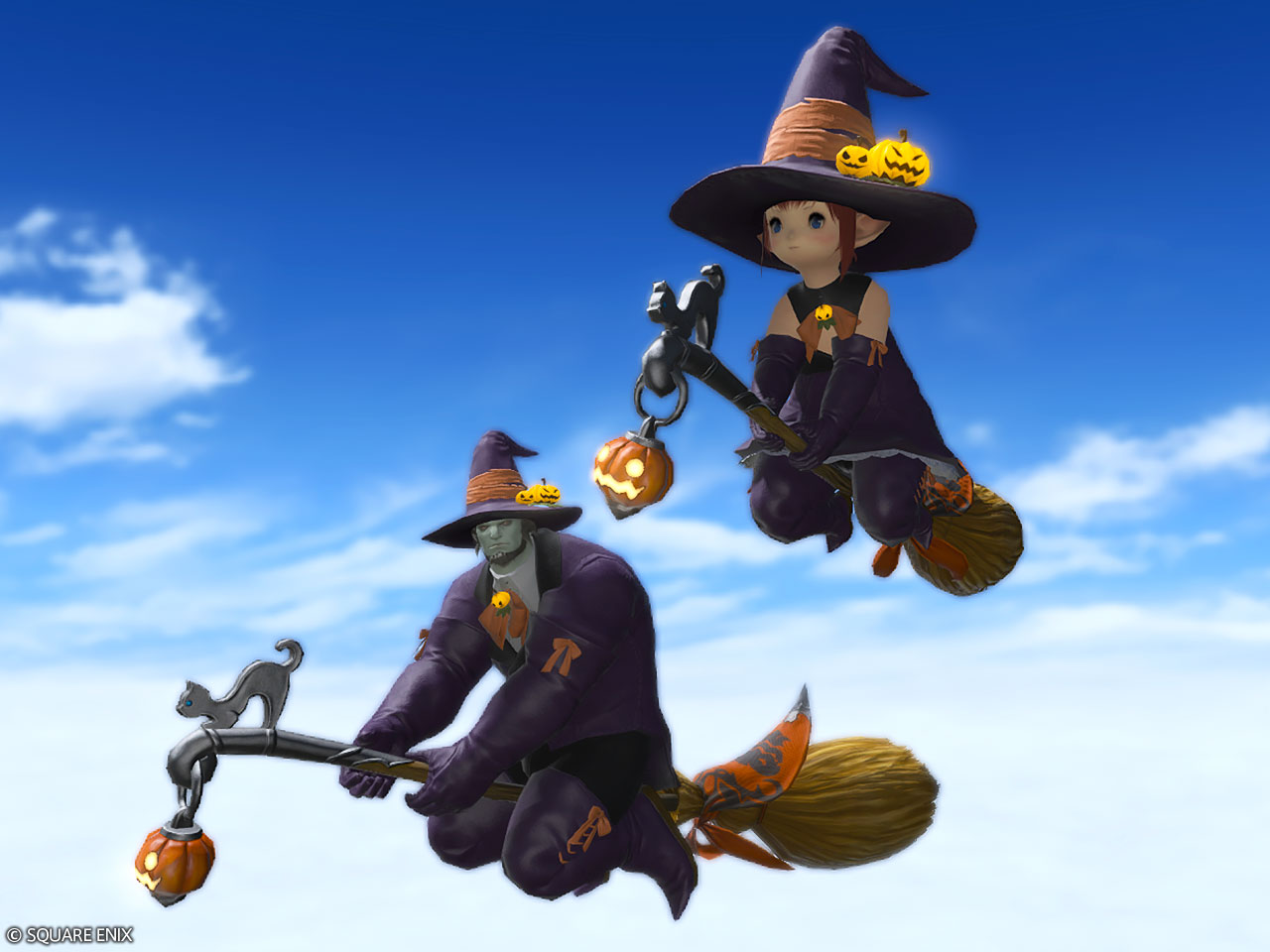 Mount: Witch's Broom (Single Character) 3 Mount: Witch's Broom (Single Character)