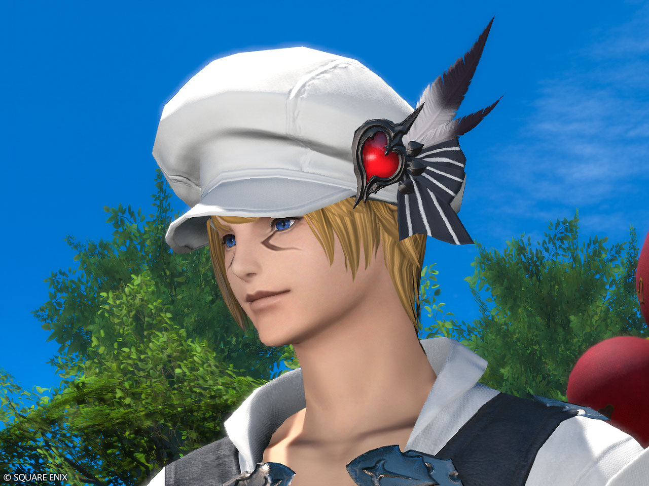 Black-feathered Flat Hat