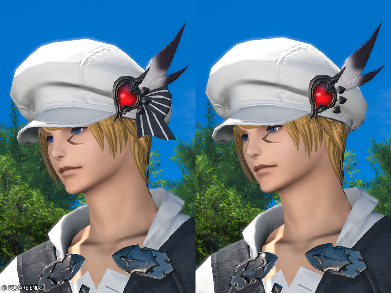 Black-feathered Flat Hat