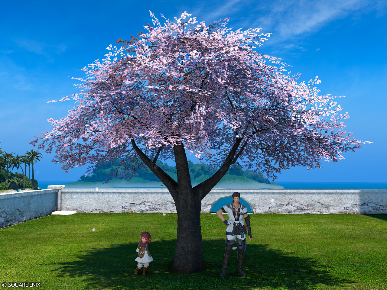 Authentic Eastern Cherry Tree