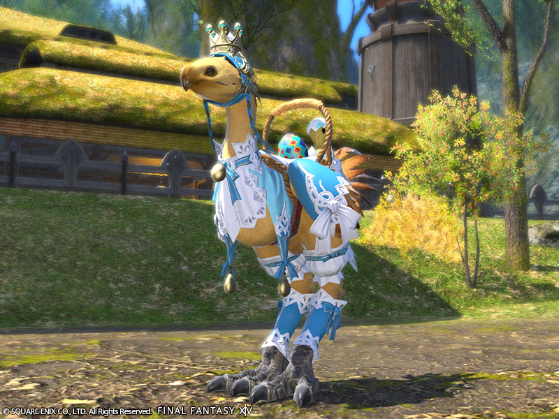 Egg Hunter Barding