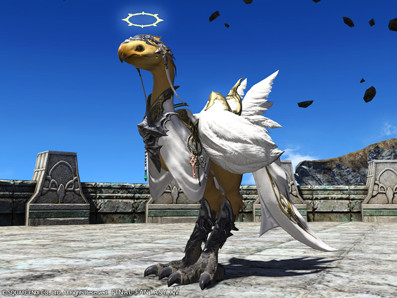 Angelic Barding