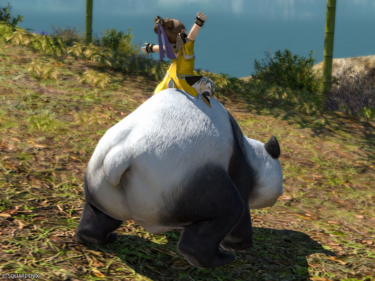 Mount: Mystic Panda (Account-wide)