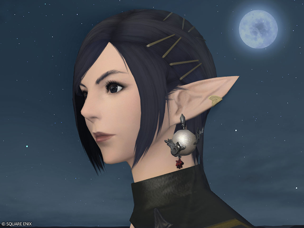 Moonlet